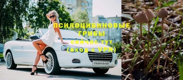 Альфа ПВП Богородицк