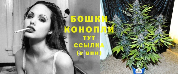 мескалин Богданович