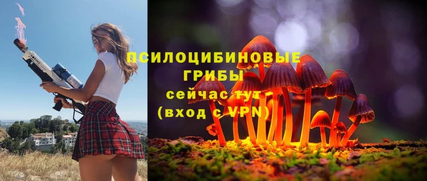 Альфа ПВП Богородицк