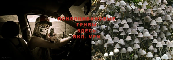 мескалин Богданович
