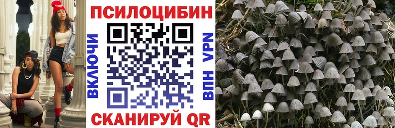 Псилоцибиновые грибы Psilocybe  Купить закладки  Макаров 